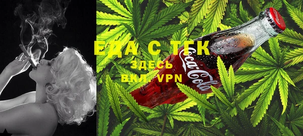 ECSTASY Пересвет