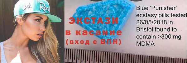 ECSTASY Пересвет
