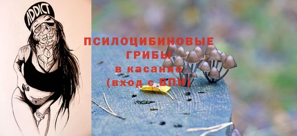 ECSTASY Пересвет