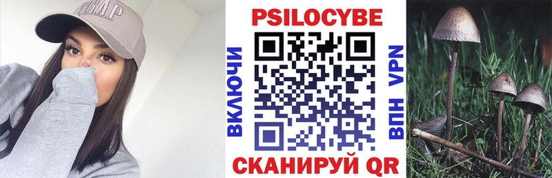 Псилоцибиновые грибы GOLDEN TEACHER  мориарти телеграм  Лиски 